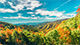 Great Smoky Mountains National Park encompasses lush forests and an abundance of wildflowers that bloom year-round.
