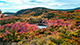 Acadia National Park is a 47,000-acre Atlantic coast recreation area primarily on Maine's Mount Desert Island.